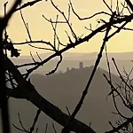 Ringlodge Отель типа 
